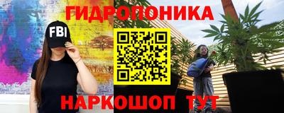 стаф Пенза