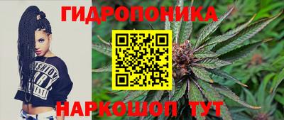 стаф Пенза